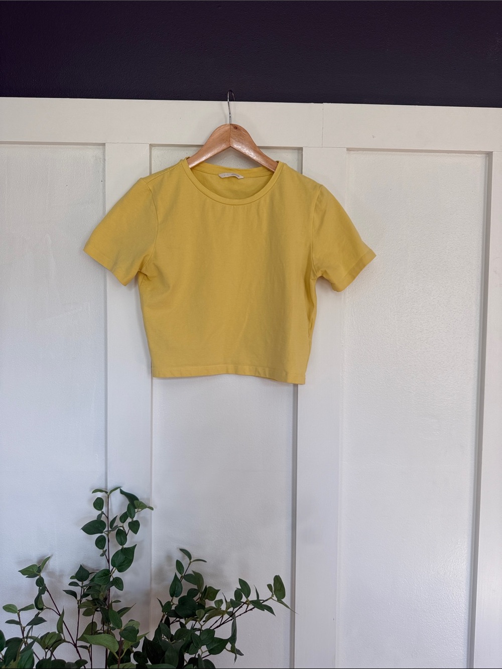 Zara yellow crop top